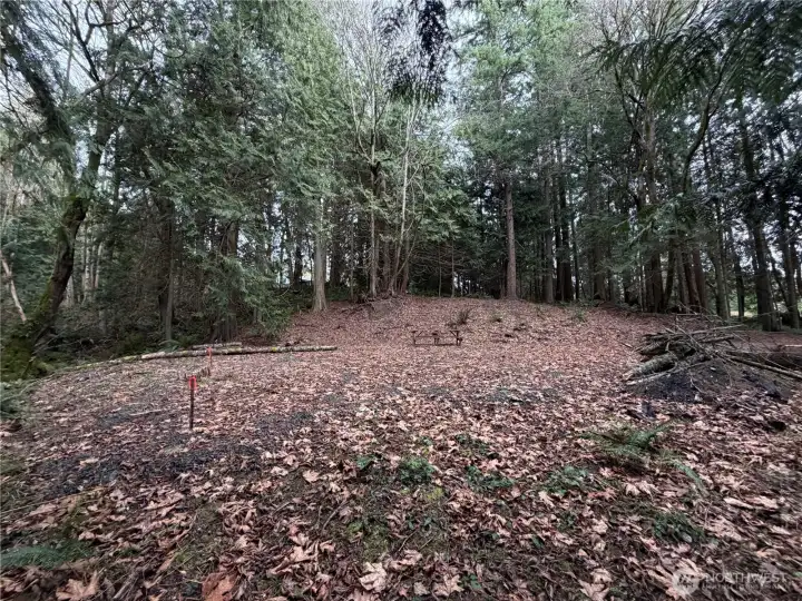 Large level pad for camping or potential homesite.