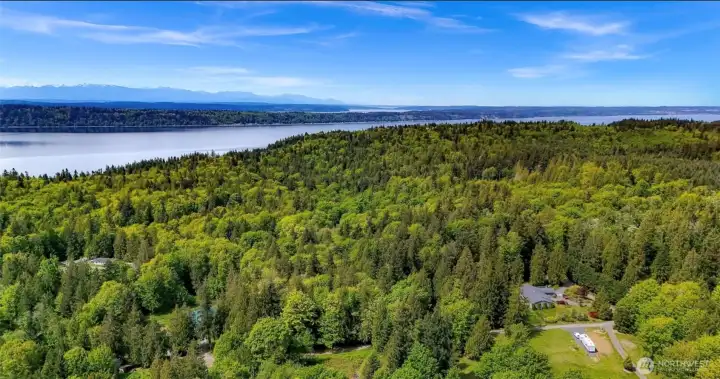 Surrounded by lush forest and a stone's throw from saltwater.