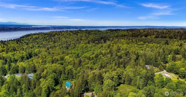 Surrounded by lush forest and a stone's throw from saltwater.