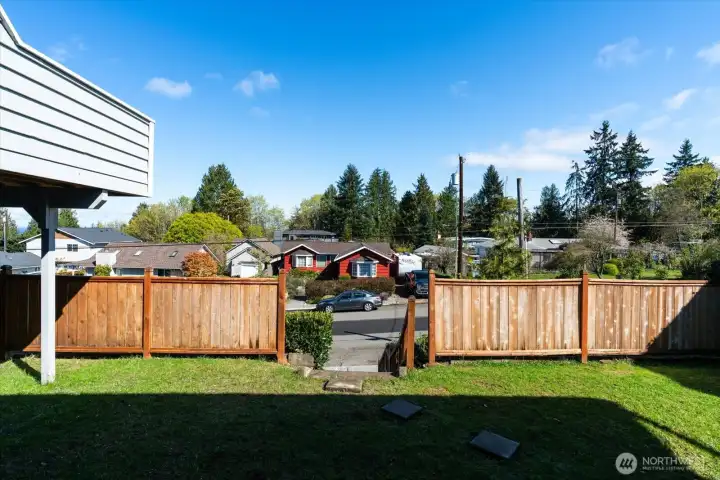 Backyard
