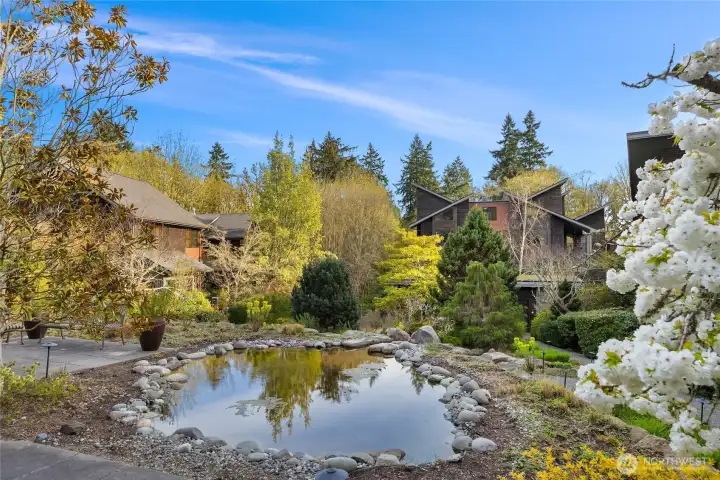 Vineyard Lane has abundant established landscaping including a central pond.
