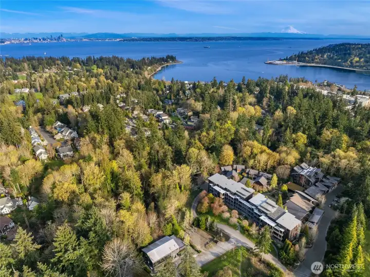 Located just .7 miles from the Bainbridge to Seattle Ferry terminal. Close to all in-town amenities with established paths.
