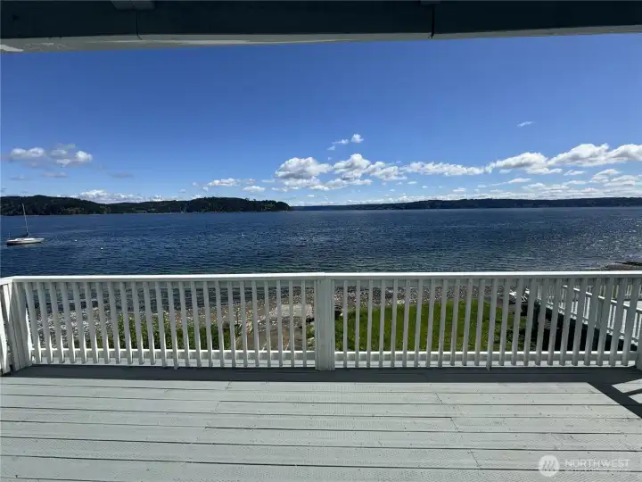 View from Tiny House