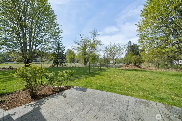 Back yard view, rose garden