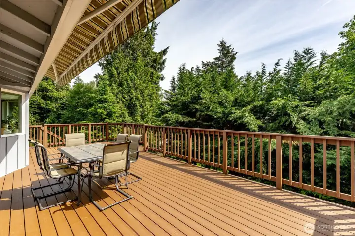 On Clear days you can see Mt Rainier from these decks.