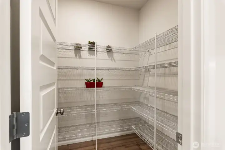 Ample pantry space that curves behind the door.