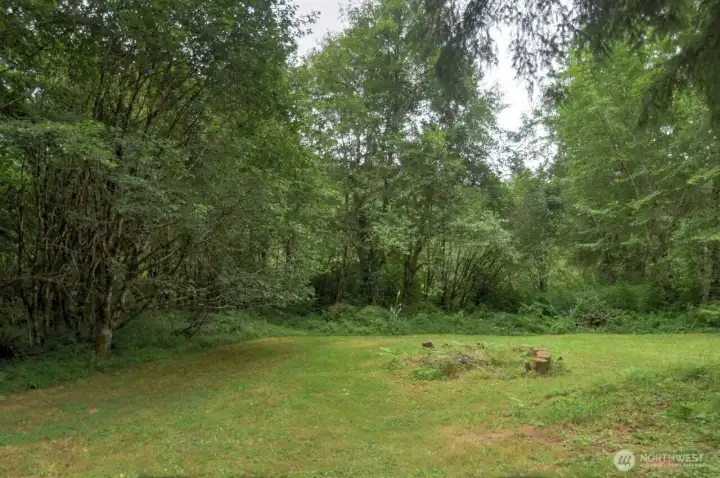 Wonderful yard Wonderful yard