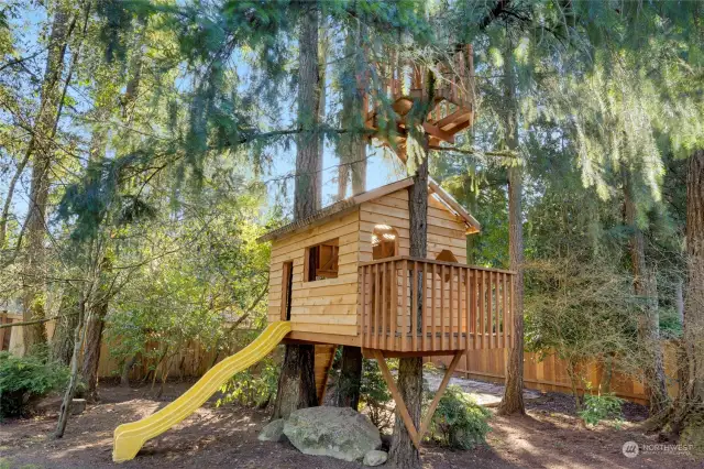 Newly constructed tree house with slide and rock climbing wall