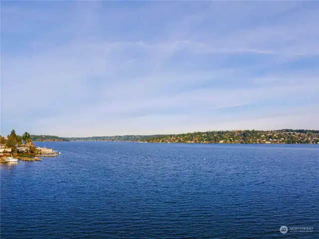 View From The Deck