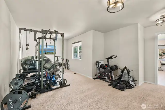 Bonus room on upper level.