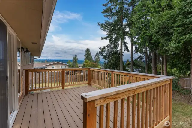 This is the brand new deck off the living room. There are steps down to the backyard. On a clear(er) day, the Cascades will be visible!