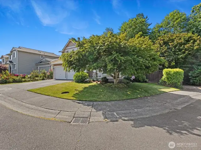 Street view of corner lot