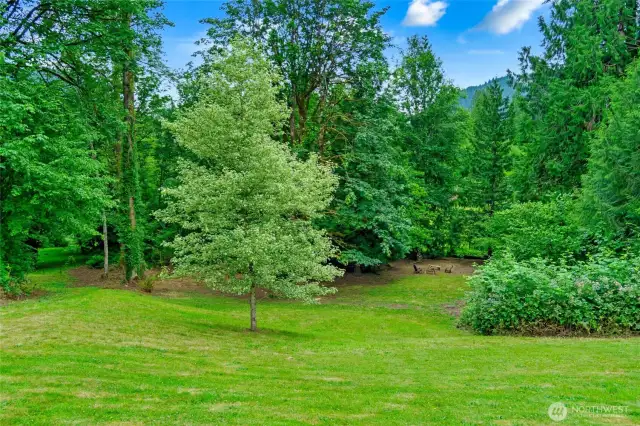 The grounds are truly beautiful—lush, green, and thoughtfully designed to highlight the natural surroundings. A mix of open lawn and mature trees creates a peaceful, park-like setting, while a cozy clearing with benches and a fire pit invites quiet gatherings or evening stargazing. It’s a serene retreat that feels both expansive and intimate, perfect for anyone who loves nature and outdoor living.