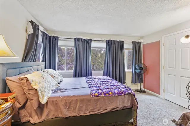 Huge primary with freestanding gas fireplace and en suite bath & walk in closet