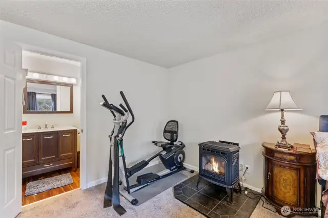 Huge primary with freestanding gas fireplace and en suite bath & walk in closet