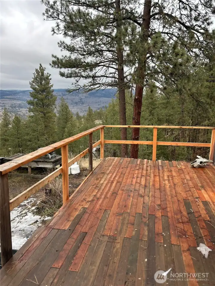 Beautiful views from the deck.