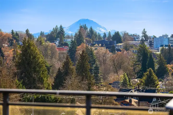 Mt. Rainier in all its glory.