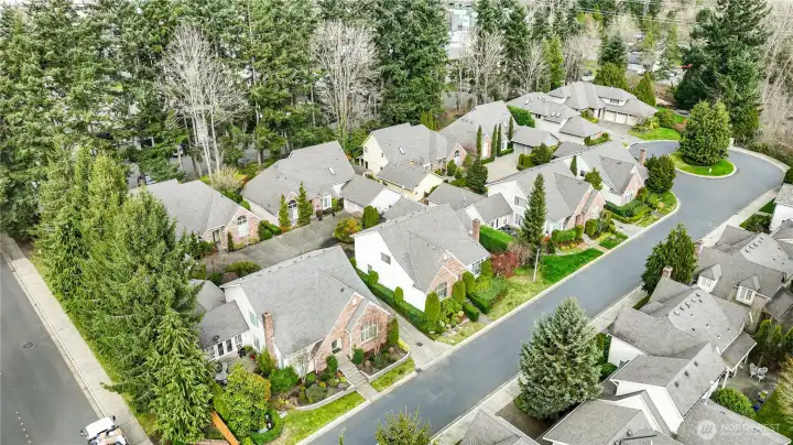 Privet Community Park is at the end of the street