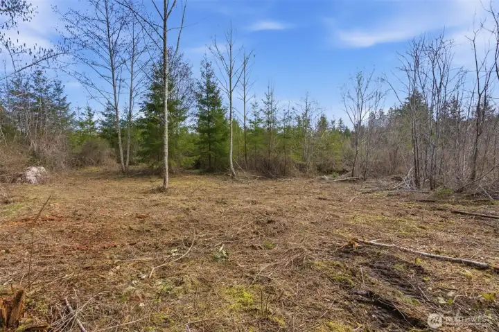 Potential building area