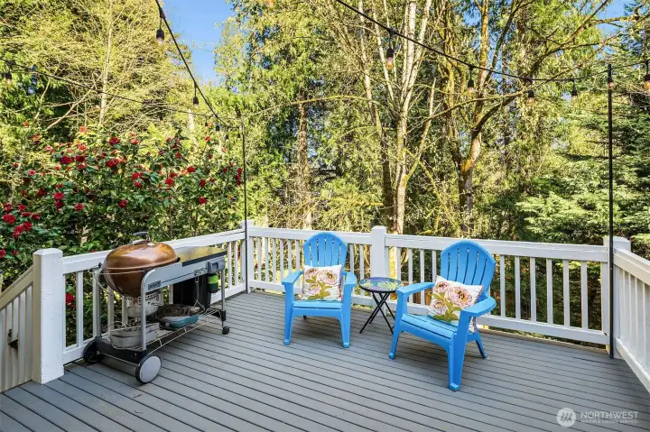 Elevated deck is perfect for entertaining