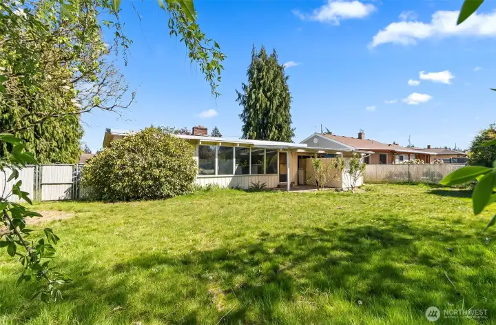 Opposite View of the Back Yard