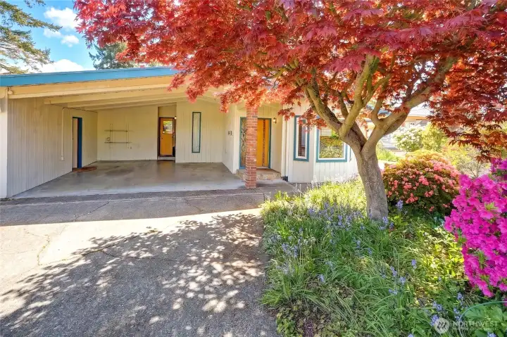 Outside There are More Wonderful Features Including Shop (to Left of Carport)~