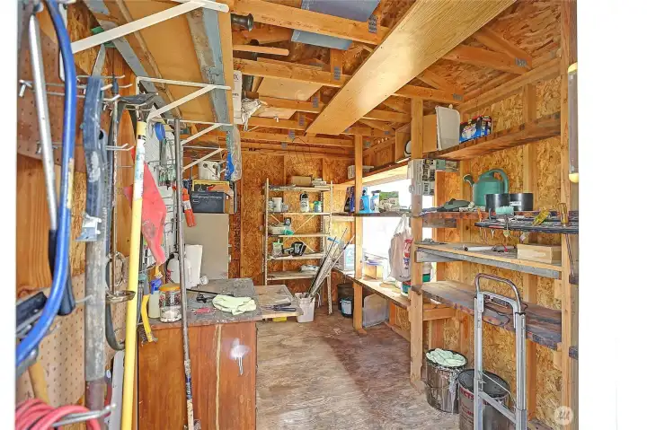 Garden Shed w/ View Window~
