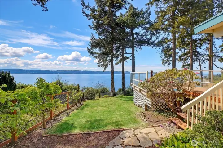 Incredible Mini-Orchard w/ Established High-Yield Fruit Trees that Thrive in the Sun-Belt~