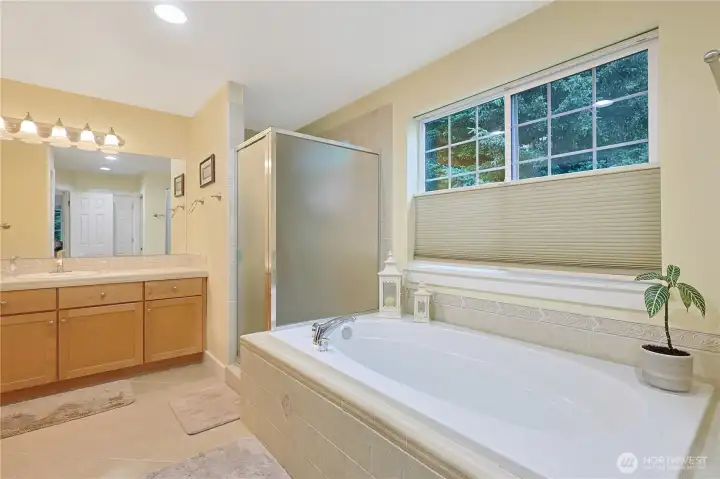 Soaker tub in the massive primary bath.