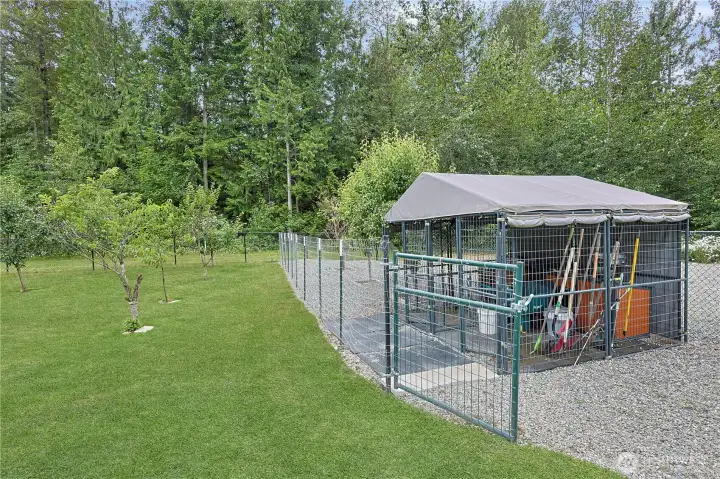 Dog run with it's own covered shelter!