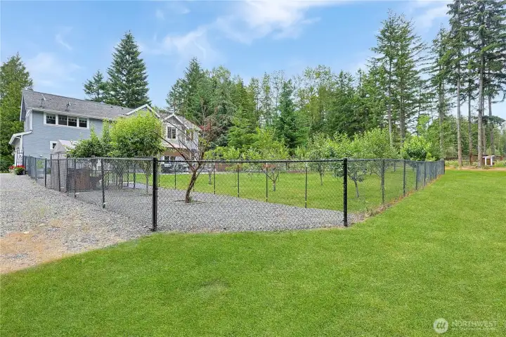 Fenced yard!