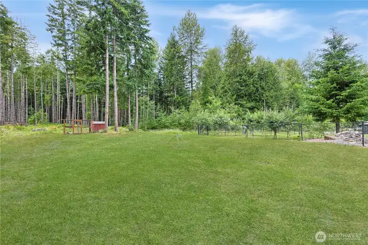 The side yard overlooking acres and acres of woods.