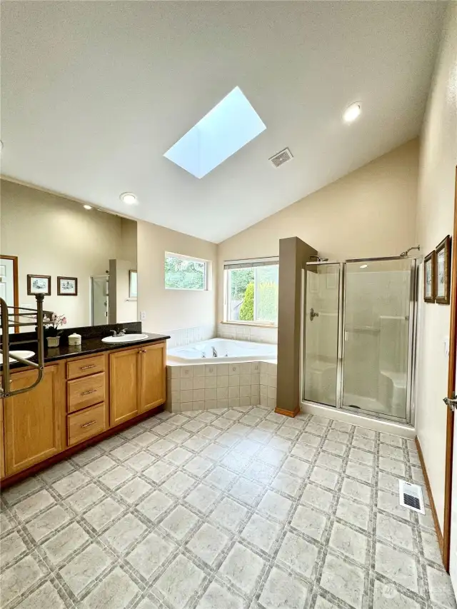 Master bathroom with natural lighting