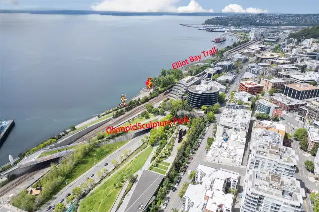 Aero view of Olympic Sculpture Park and Elliott Bay