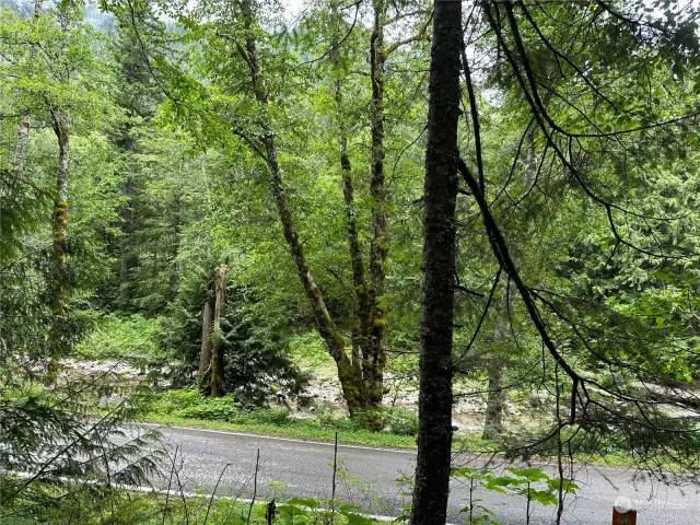 View of river from the property