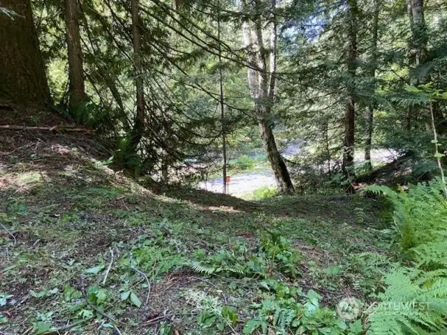 Path coming up to the caboose and property