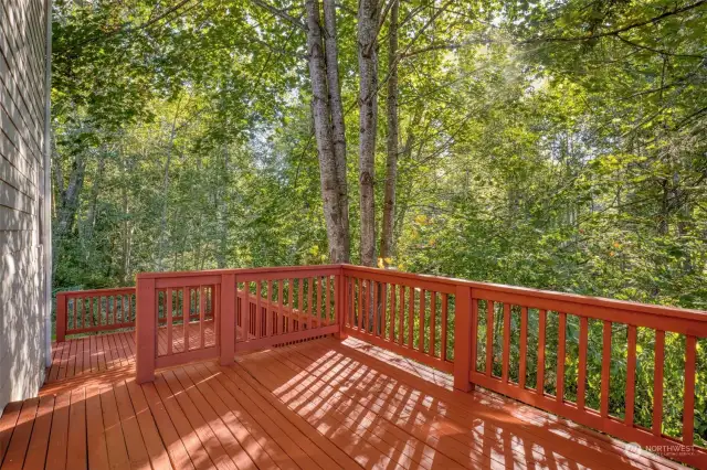 Large private deck in the back over looking the forest.