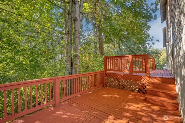 Large private deck in the back over looking the forest.