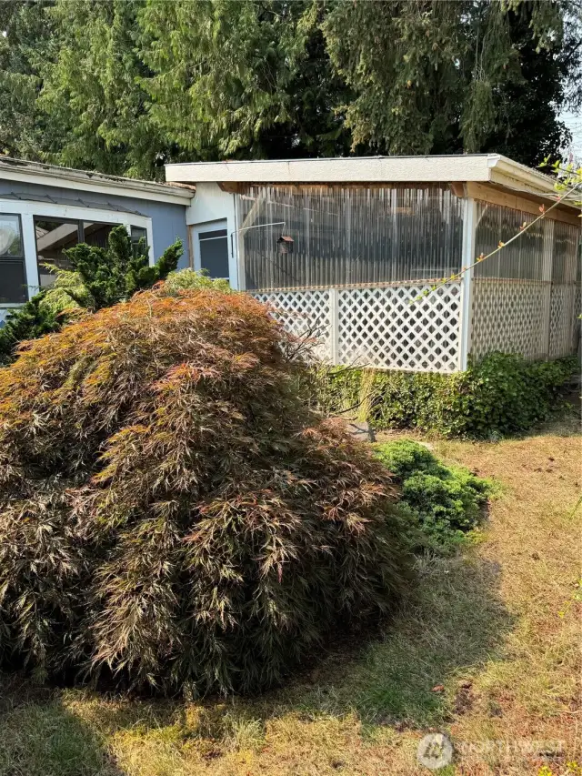 Enclosed deck