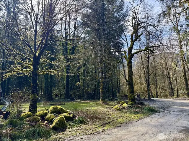The road coming into the lot.