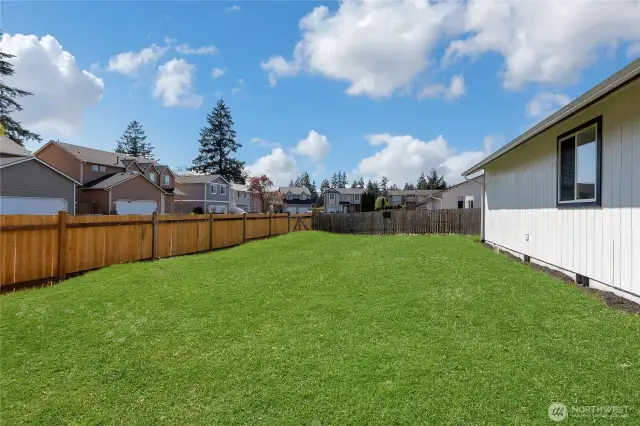 Side Yard