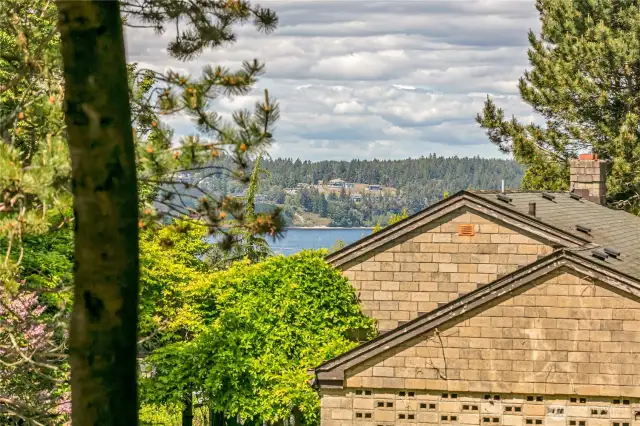 One of the peek-a-boo views.