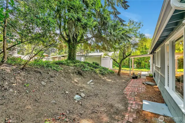 Backyard provides a combination of privacy and open space.