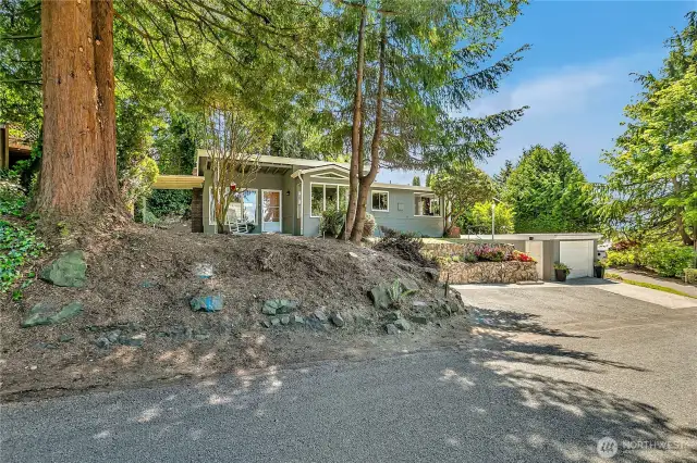 Mature trees and landscaping abound on this large lot.
