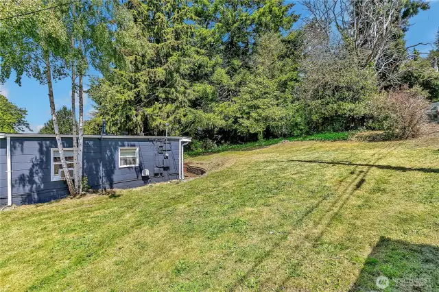 Open lawn space in the back of the property.
