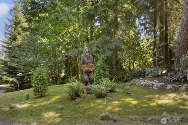 SAMMY the Sasquatch! A neighborhood icon!
