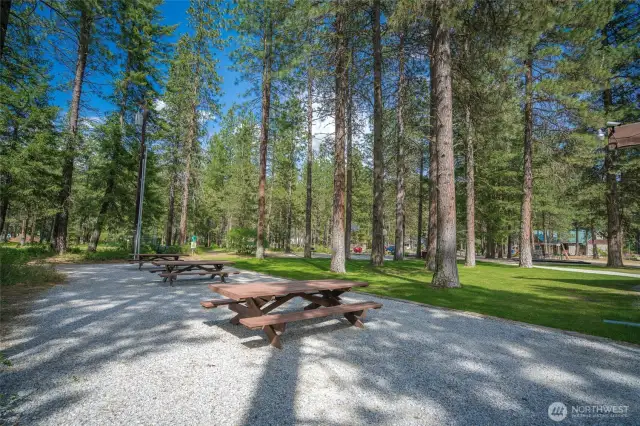 Community Area