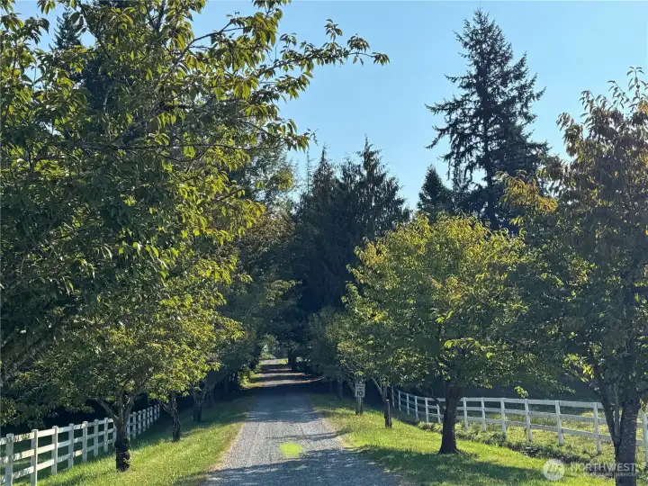 Private Road leading to property.