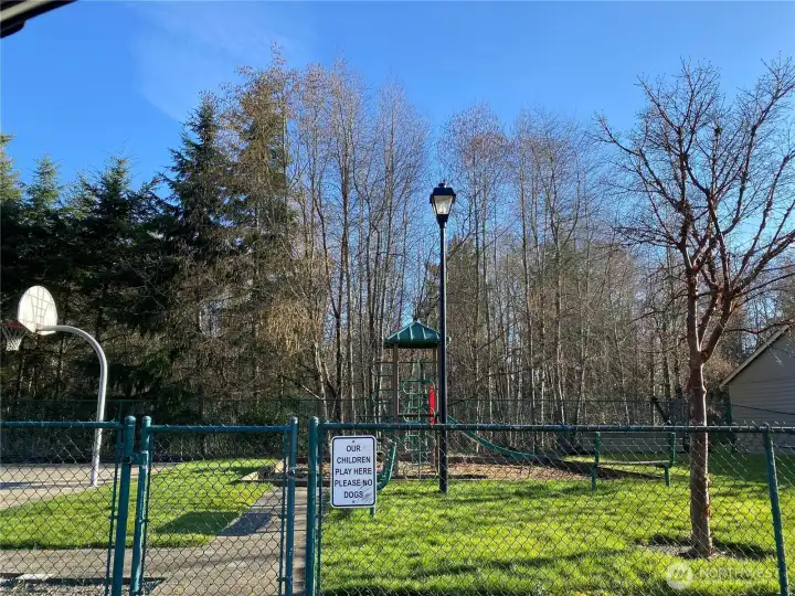 Sports court & Playground