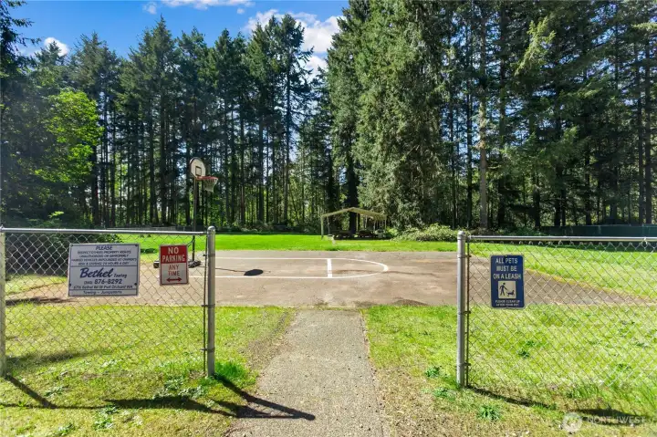 Community Basketball Court and Picnic Table